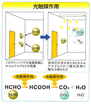 光触媒作用