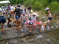 魚のつかみ取り大会